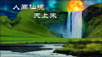 大豆蛋白是什么东西游戏画面